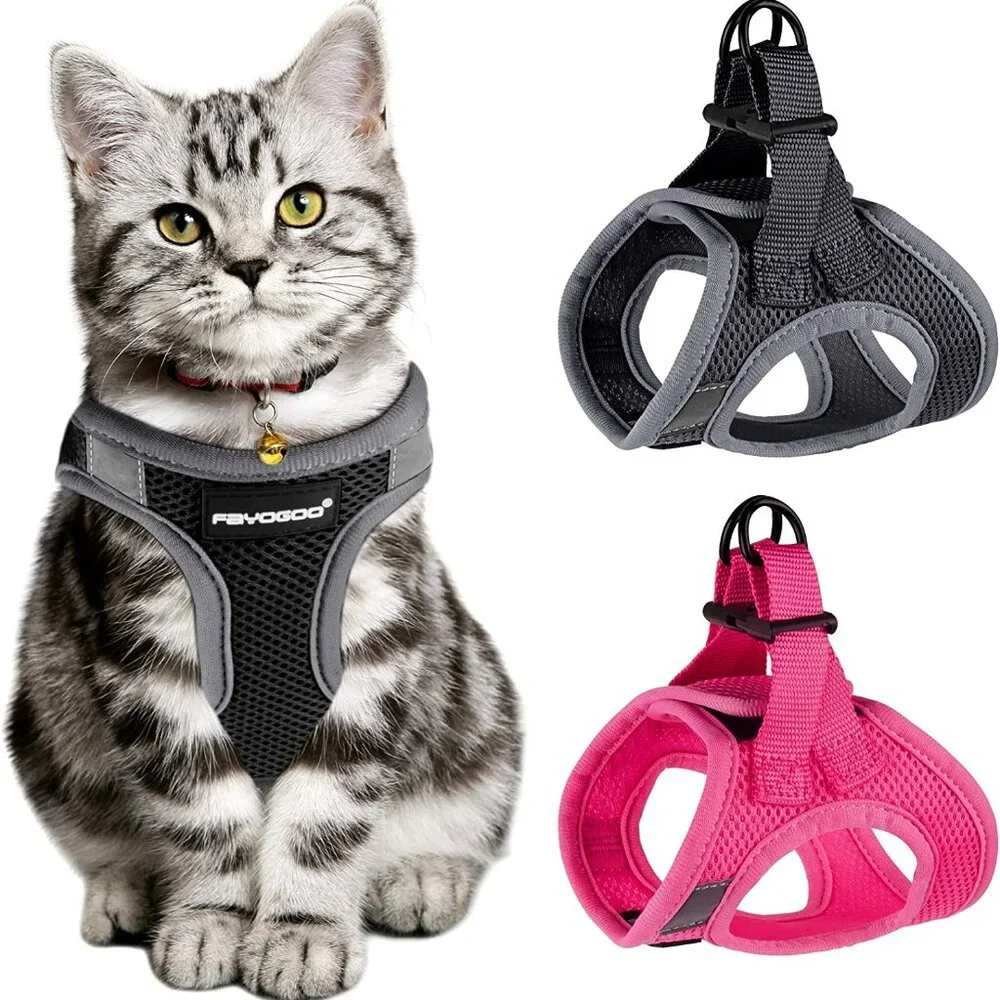 Kitten harnesses and leash set